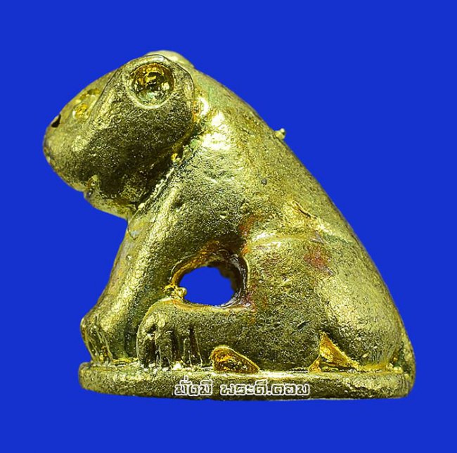 เสือหล่อโลหะ วัดมงคลโคธาวาส (วัดบางเหี้ย) จ.สมุทรปราการ พิมพ์จิ๋วเนื้อทองเหลืองไม่ทราบปีที่สร้างครับ ตัวที่ 1