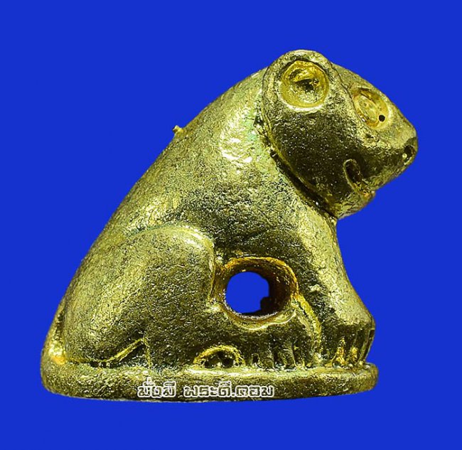 เสือหล่อโลหะ วัดมงคลโคธาวาส (วัดบางเหี้ย) จ.สมุทรปราการ พิมพ์จิ๋วเนื้อทองเหลืองไม่ทราบปีที่สร้างครับ ตัวที่ 1