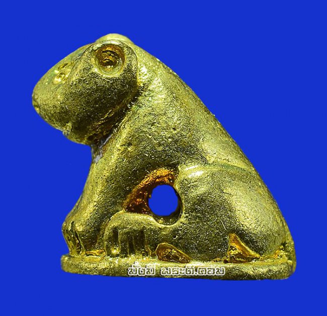 เสือหล่อโลหะ วัดมงคลโคธาวาส (วัดบางเหี้ย) จ.สมุทรปราการ พิมพ์จิ๋วเนื้อทองเหลืองไม่ทราบปีที่สร้างครับ ตัวที่ 2